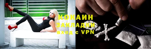 ешки Алексин