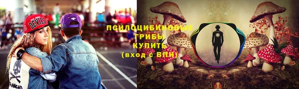ешки Алексин
