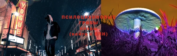 эйфоретик Алзамай