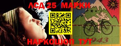 гидропоника Сланцы