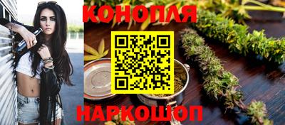 гидропоника Сланцы