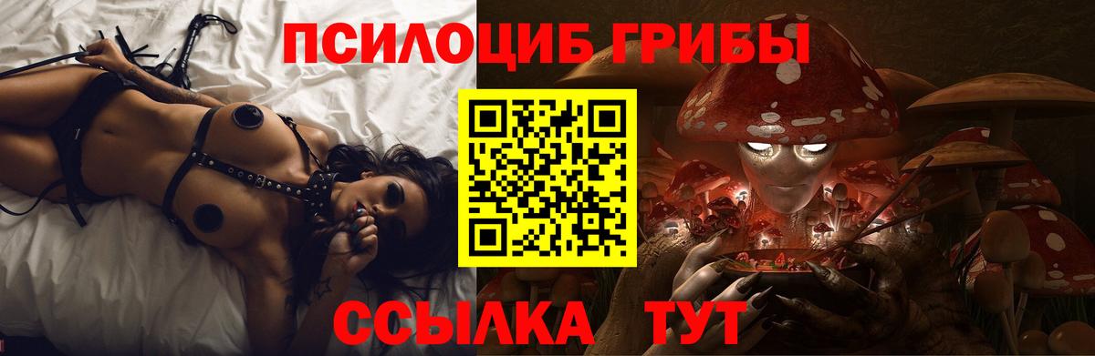 Псилоцибиновые грибы Psilocybine cubensis  Вход с VPN  Серов 