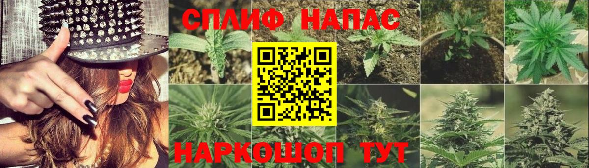 Каннабис Ganja Серов